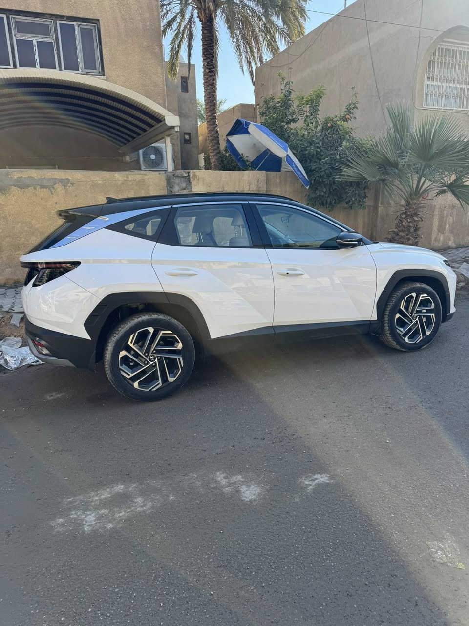 السلام عليكم توسان موديل 2025 ماشيه 11 الف ضمان الساك توكلر تبريد  كشن جنطه كهرباء كشنن كهرباء 2 لد امامي ولد خلفي وبصمه فول عدا البنورما باسمي تحويل مباشر 
السعر 249 $ للاتصال *********** 
المكان الوزيريه
