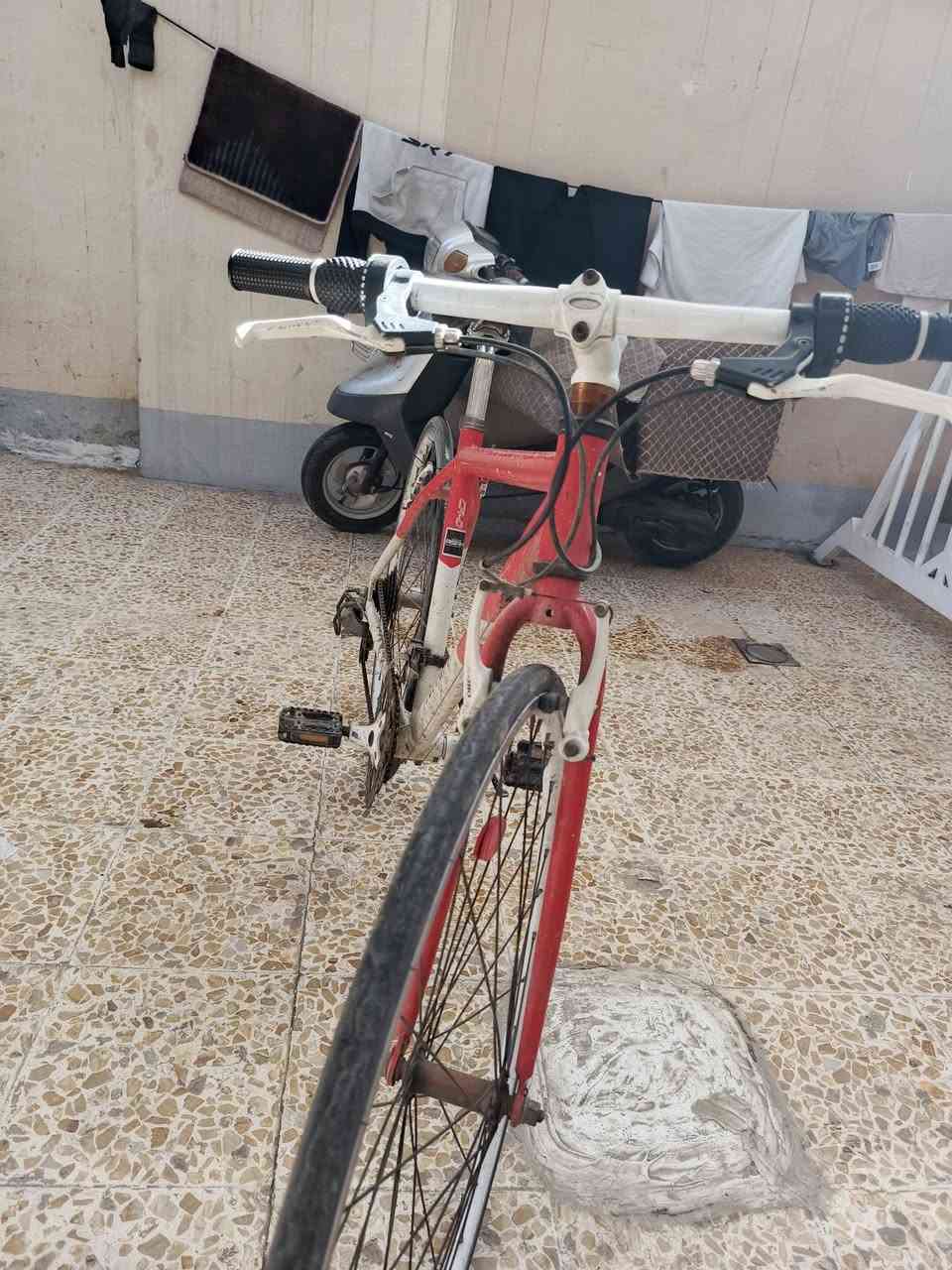 بايسكل للبيع مال سباق و رحاله نضيف وكيوره وسطابات كلها شغاله خفيف بحيث بصبع واحد تكدر ترفعه ادفع سعرك


**إذا كنت صاحب هذا الإعلان وتريد حذفه لأي سبب، رجاءا أرسل رسالة إلى الدعم الفني**