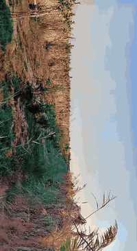 دونم يحتوي على أشجار رمان وتين وفواكه مع دار سكن ماء كهرباء مع ماء سقي مع بئر ماء حلو سند عقد ٣٥ مجدد لغاية سنة ٢٨ يتحول قرار ٢٤ سعر ٧٠ مليون بيه مجال الراشديه خلف  حي الأنتصار خدمات مدارس مستوصف سوق طريق كله تبليط ***********
