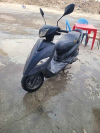 دراجة • ثعلب • بيها مجال