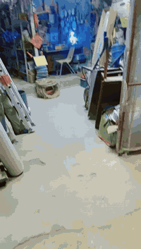 محل نشايه البيع شلع القطع قل من ٤٠٠موجوده القامه عدي بل غراف 078070289...