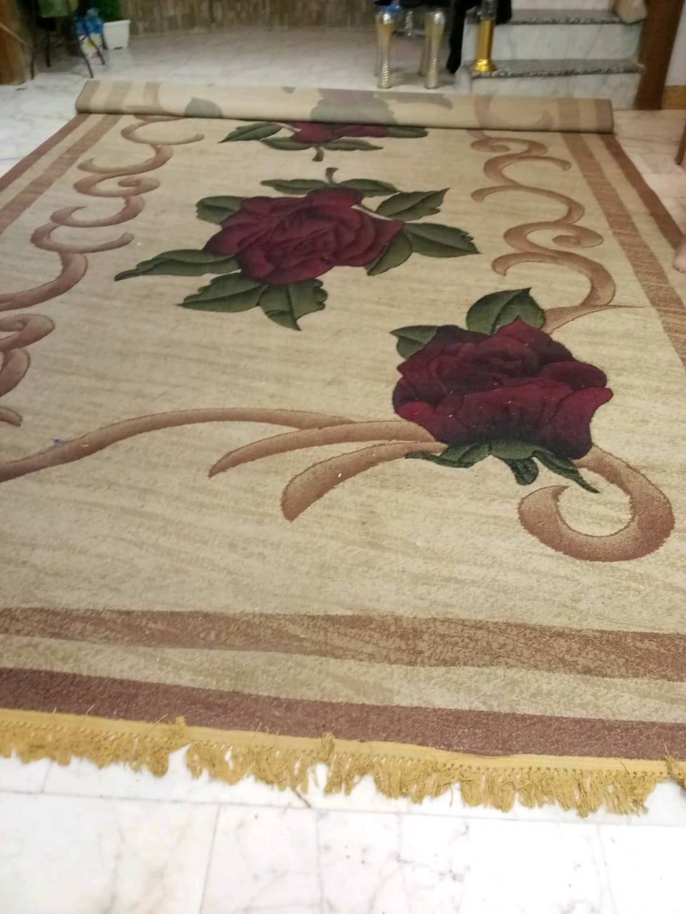 زوليه قياس 6ب3 استعمال موسم واحد العنوان النجف الاشرف كوفه حي ميسان 