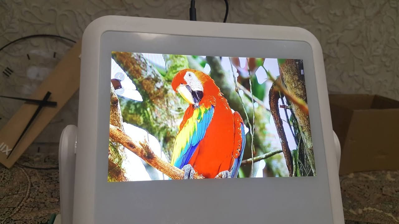 السلام عليكم داتاشو مدمج شاشه لمس اوتحكم ريموت او نضام أندرويد وايفاي ذاكرة 32 جديدة استفسار خاص متوفر توصيل


**إذا كنت صاحب هذا الإعلان وتريد حذفه لأي سبب، رجاءا أرسل رسالة إلى الدعم الفني**