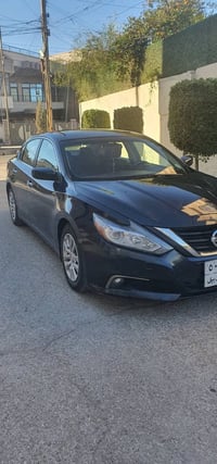 التيما • ٢٠١٦ • وارد امريكي