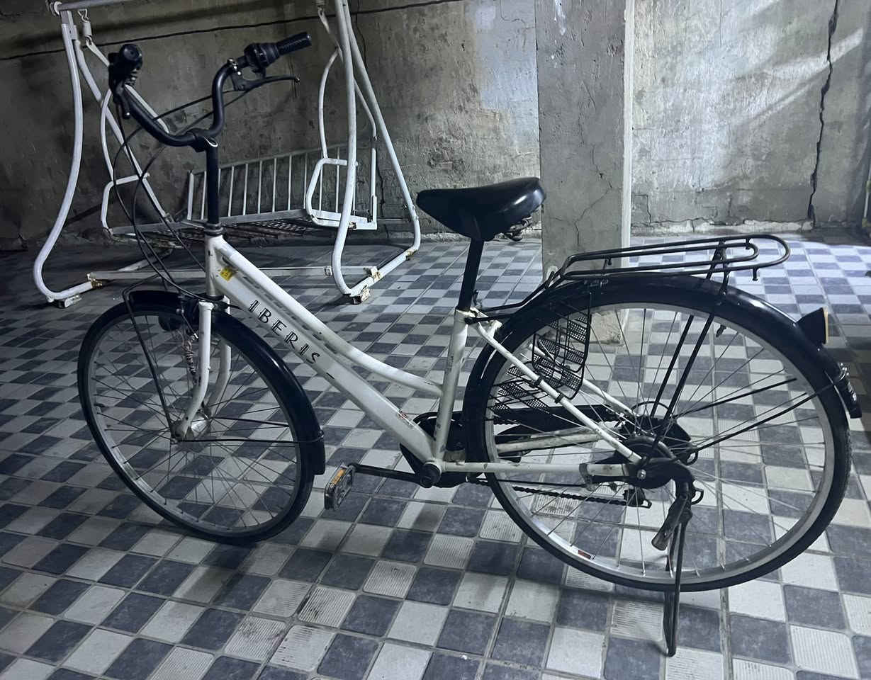 بايسكل للبيع.                                                                     بناتي حجم 27فول مواصفات مابدل اي شي مكان                           حي العامل شارع 7 نيسان السعر 110 و بي مجال                          ادخل خاص


**إذا كنت صاحب هذا الإعلان وتريد حذفه لأي سبب، رجاءا أرسل رسالة إلى الدعم الفني**