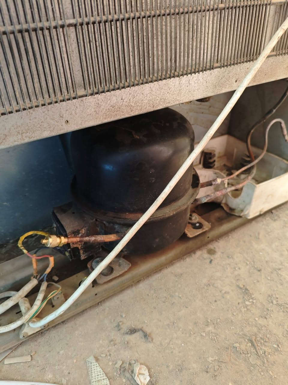 ثلاجه توسوت الحجم الكبير للبيع مبدل الكمبريسر ناشيونال ياباني اصلي تجميد فوك وجوه عالشرط السعر 150 الف


**إذا كنت صاحب هذا الإعلان وتريد حذفه لأي سبب، رجاءا أرسل رسالة إلى الدعم الفني**