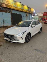 دسترويل فول • ٢٠٢٥ • رقم اربيل