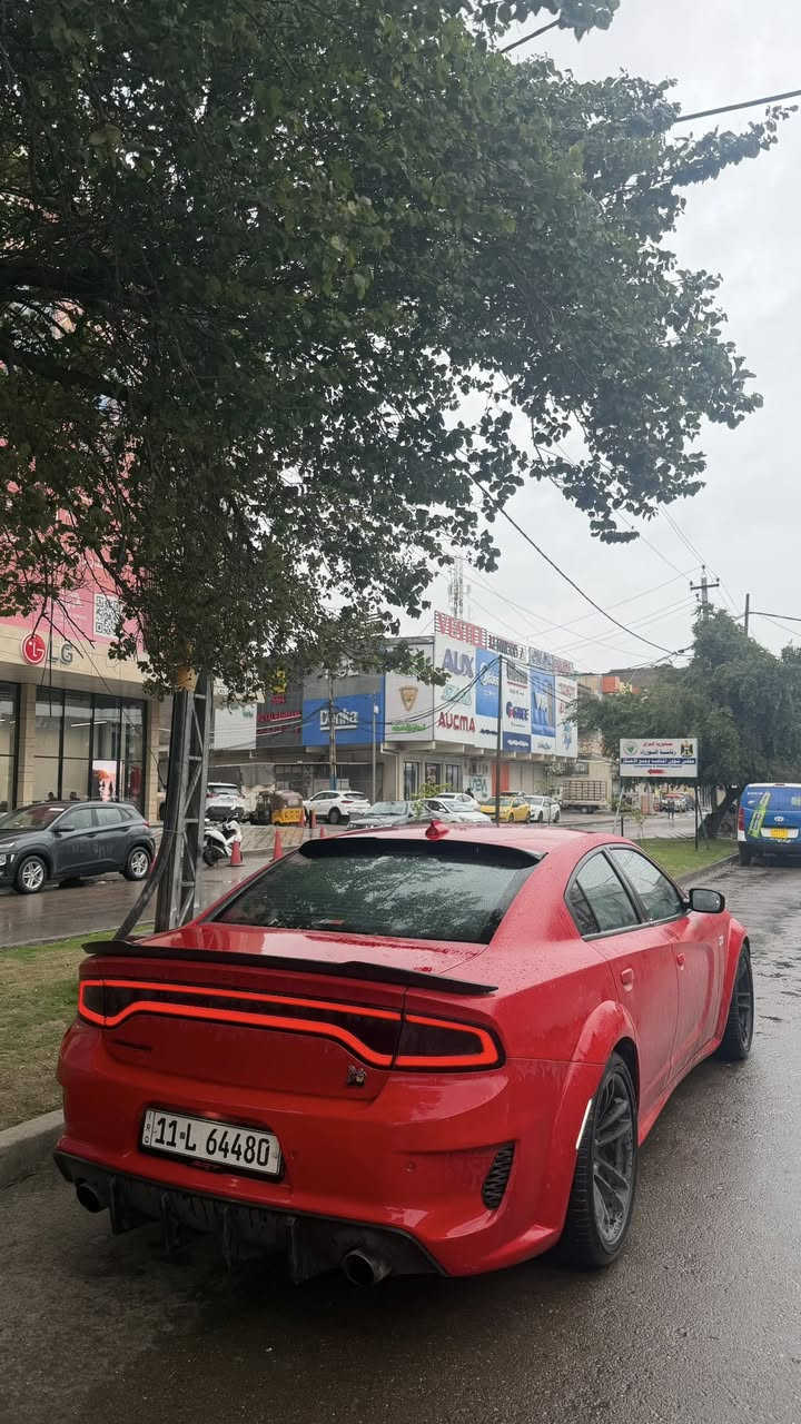 � للبيع – دودج جارجر سكات باك وايد بدي 2023 (Last Call) 🔥
📍 رقم بغداد – باسمي (تحويل فوري ثاني يوم)

🚗 المواصفات:

 • سكات باك وايد بدي – إصدار Last Call
 • الممشى: 27 ألف ميل
 • بدون فتحة سقف وبدون رادار أمامي
 • داخلية جلد أحمر (كنتار)
 • سقف روز رايز
 • كشنات تدفئة + تبريد
 •  كشنات ميموري خزن + ستيرن كهرباء 

⚙️ الإضافات:

 • برمجة مصطفى إيكل
 • هدرز + دبات و بوابات علي الوادي
 • شوتة AFE
 • ثروتل AFE
 • دركة كاربون فورجد
 • زرع عدسات LED
 • إنارة LED متغيرة
 • تغليف PPF طافي كامل

🛠️ الحالة:

 • حادث خفيف (بارد)
 • بارد جاملغ الخلفي فقط – بدون صبغ

💰 السعر: 33.000$ (330 ورقه )قابل للتفاوض للجادين

📞 (***********)للاستفسار خاص أو اتصال
العنوان بـغداد العطيفيه جامع براثا
🔥 سيارة جاهزة، نظيفة،
