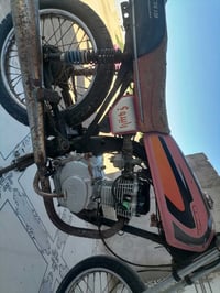 دراجة مكفولة • بدون أوراق • ميسان الطبر