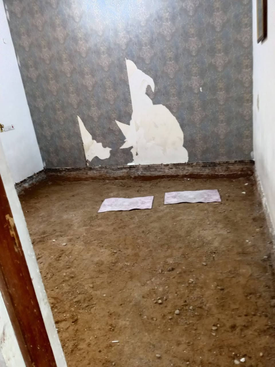 يا ىسلام عليكم  / يوجد كادر عمل جاهز/ تصعيد مواد/ تنضيف بيوت/ تفليش/ تكشيط/ تنضيف حدائق/ دفن نهري  / شقلنه ليل ونهار   /ومعداتنه جاهز/ ماعليك بس تصال على رقم  /      عليكم  / يوجد كادر عمل جاهز/ تصعيد مواد/ تنضيف بيوت/ تفليش/ تكشيط/ تنضيف حدائق/ دفن نهري  / شقلنه ليل ونهار   /ومعداتنه جاهز/ ماعليك بس تصال على رقم  /     ***********
