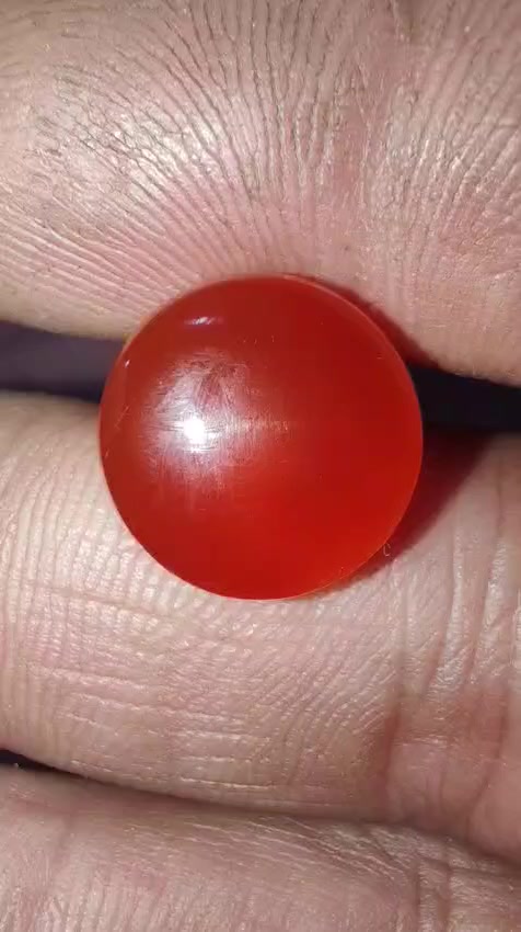 عقيقه يماني مشمشي
لون مفرح
التواصل خاص وبلخدمه


**إذا كنت صاحب هذا الإعلان وتريد حذفه لأي سبب، رجاءا أرسل رسالة إلى الدعم الفني**