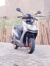 سكنس لد • دبل اشاير • لايت زينون