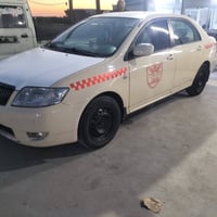 بيكاسو • ٢٠٠٤ • توماتيك