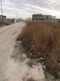 قطعه ارضي زراعي  سند ٢٥ في منطقه هور رجب بالمنتجع السكني  تفاصيل اكثر ...