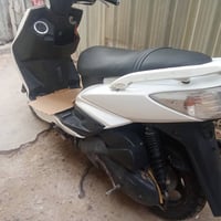 درجة سكنس • فحل • كهربايته