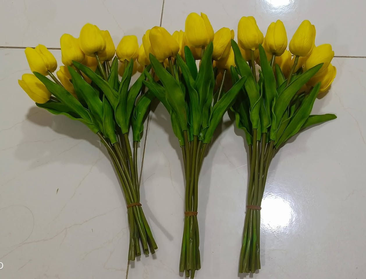 السلام عليكم كل عام وانتم بخير 
توفر ورد توليب كميه قليله وباسعار مناسبه جداً وتنافسيه 
للحجز والاستفسار ماراسلتنا خاص او واتساب ***********
