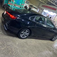 فورتي • ٢٠٢٤ • رقم شهداء