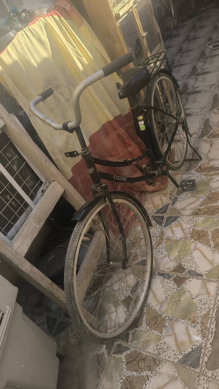 باسكلات انصاف عدد اثنين سعرهن 140 وبيهن مجال مكاني طوريج 
غير متواجد على الفيس رقم الهاتف ***********
***********
