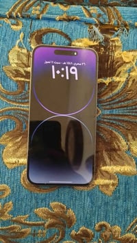 ايفون 14 برو ماكس • ٢٥٦ • فطر بسيط