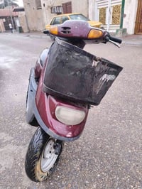 منغولي • محرك ناعم • شلعه قوية