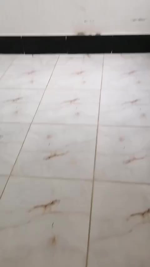 السلام عليكم بيت للايجار مساحه ٥٠م في حي النداء مقابل الاميرات المرحله الأولى للاستفسار مراجعة صاحب الدار ***********
