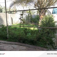 القمانيه عين شمس • ٢٠٠متر زراعي • بيع مستعجل