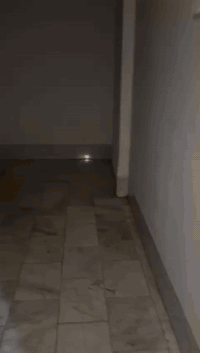 معلومات على الواتساب 
***********
***********
