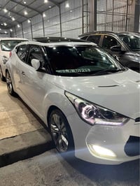 فولستر • ٢٠١٣ • اربيل