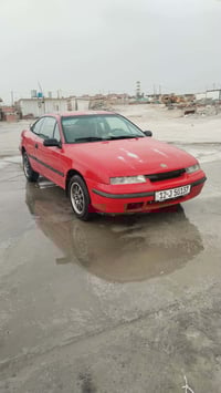 كاليبرا • ١٩٩١ • اربيل