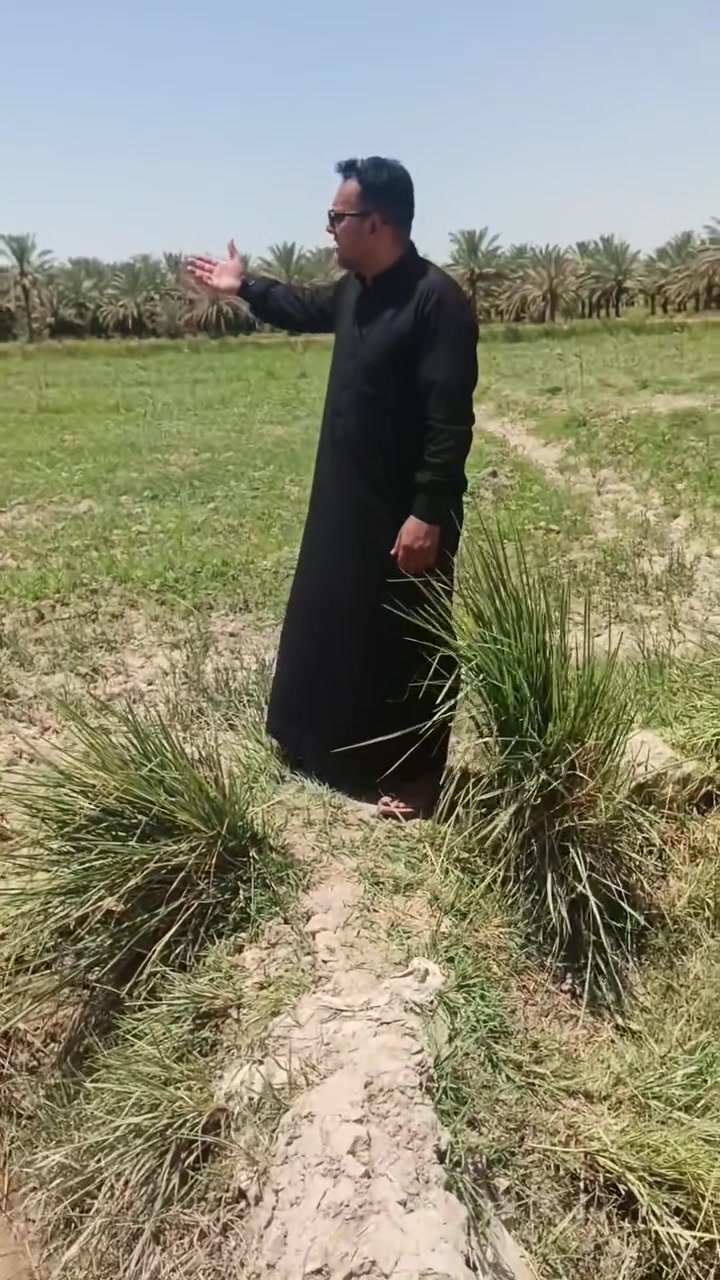 السلام عليكم ٤ طابو 25 للبيع تحويل مباشر ماء كهرباء متوفره العنوان واسط القطنيه الغربيه شويفي مسافه عن السده كيلو كله تبليط  السعر جدا جدا مناسب للاستفسار والمعلومات على الرقم ***********
