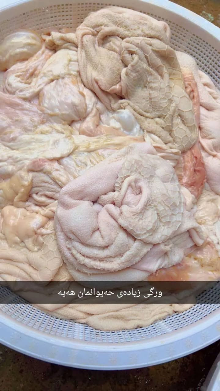 تازەوپاک وخاوێن لەپێنجوێنم گیاندنم هەیەتاسلێمانی


**إذا كنت صاحب هذا الإعلان وتريد حذفه لأي سبب، رجاءا أرسل رسالة إلى الدعم الفني**