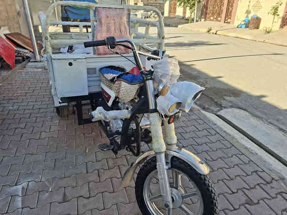 ستوتا للبيع عنوان طوز خورماتو  نواع فحل موديل ٢٠ ***********
