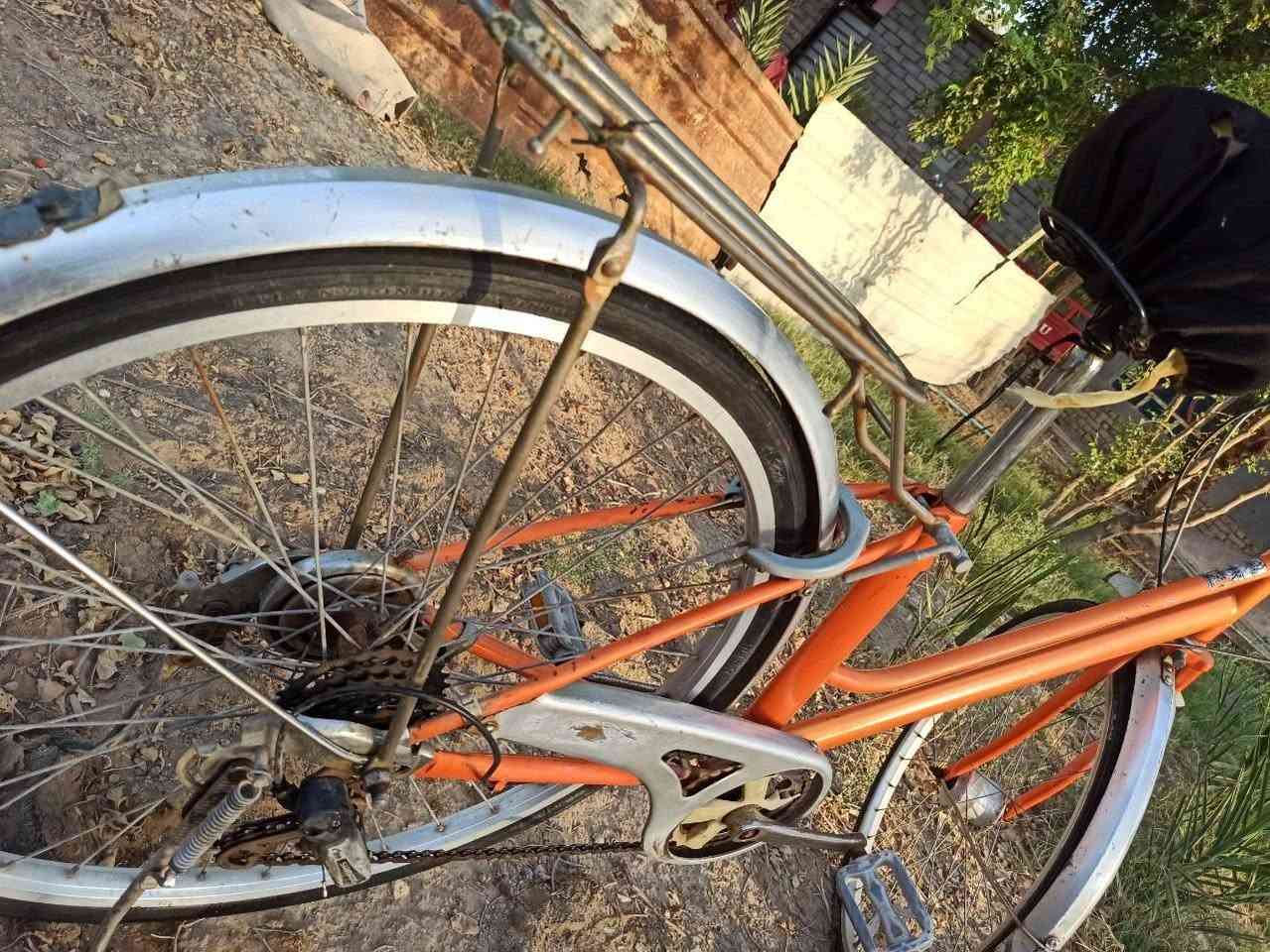 باسكل حجم 26 سعره 95الف موقع شوق شيوخ ناصري


**إذا كنت صاحب هذا الإعلان وتريد حذفه لأي سبب، رجاءا أرسل رسالة إلى الدعم الفني**