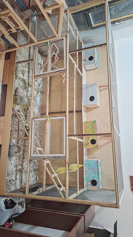 *********** ابو الخصيب, البصرة
