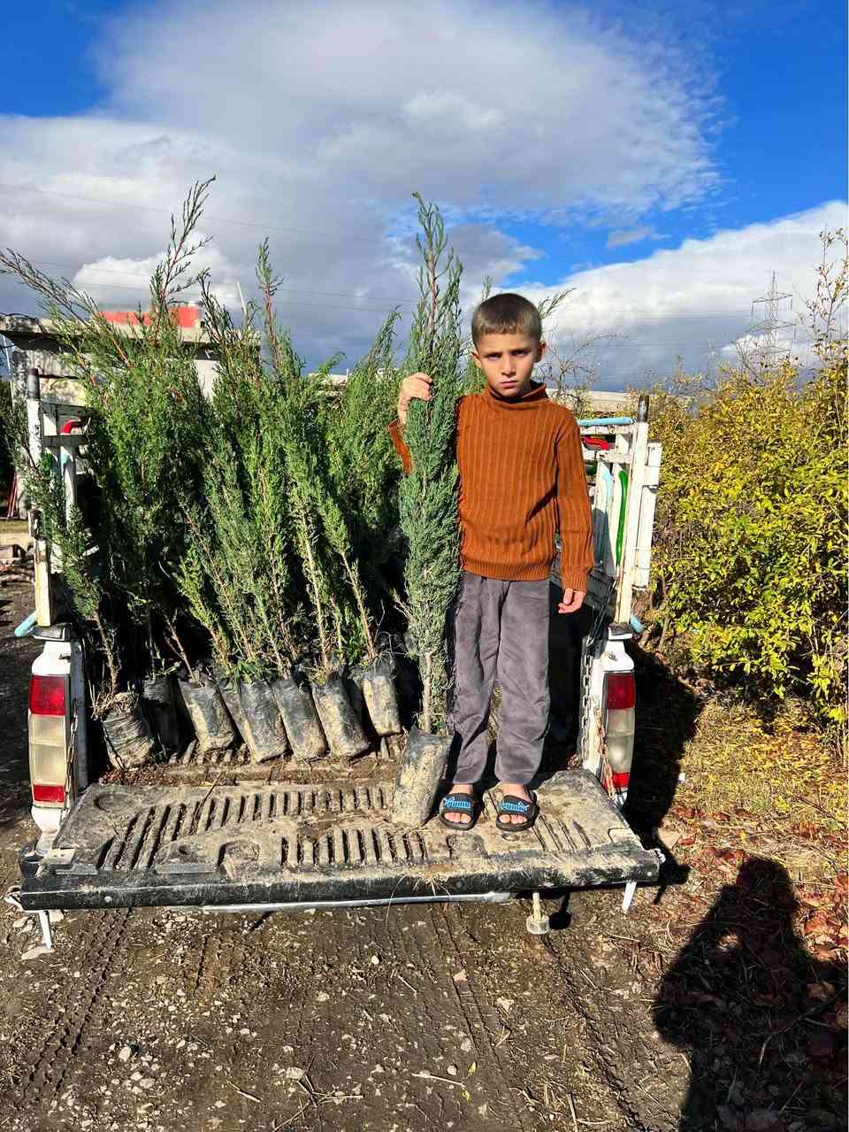 ‎سەرو(سنەوبەر)ی عامودی
‎‏‎نەمامەکان لەکیس دان ئەتوانیت ئیستا بیانچینیت 
‎نەمامی ۸٠ سانتیم تا مەتر و بیست سانتیم نرخی ۲ هەزار
‎لە ۷٠سانتیم بچوکتر 
‎نرخی ۱٥٠٠

‎گەیاندن ھەیە بۆ ھەمو کوردستان📦🚕
  
‎گەر نەمامە کان ھەمان وەسف نەبون ئەتوانیت پێش ئەوەی 
‎وەری بگریت بیگەرینیتەوە 
   ***********
   ***********
‎📌 ناونيشانی نەمامگە 
‎ رانيە—گوندی كانيماران رانية, السليمانية
