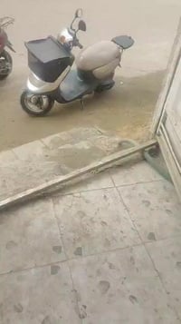 بيت للايجار • الحر الصغير • ٥٠م