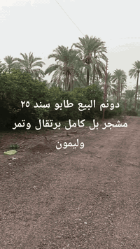 يا الله سلام عليكم دونم البيع طابو سند ٢٥ يبعد عن سده ١٥٠ متر خدمات كامله
الوجهة ٢٨
النزال ٨٩
العنوان المدائن منطقة جعاره
الاستفسار اتصال برقم ***********
