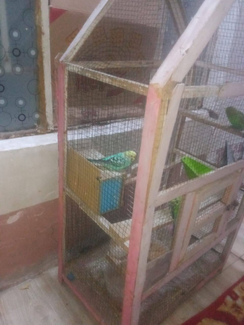 طيور حب 4مع قفصهن السعر35


**إذا كنت صاحب هذا الإعلان وتريد حذفه لأي سبب، رجاءا أرسل رسالة إلى الدعم الفني**