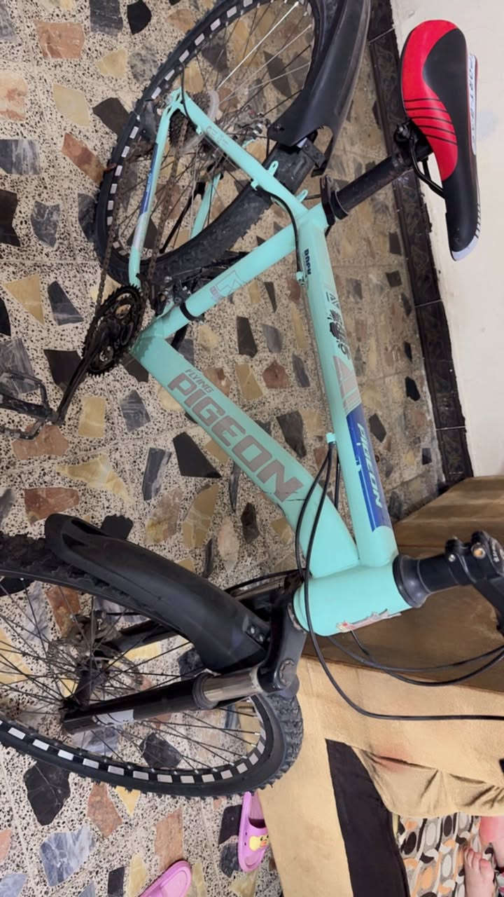 السلام عليكم بايكسل حجم 24 للبيع ماخذي ب120 يردو ب60 مكان حي القاهره


**إذا كنت صاحب هذا الإعلان وتريد حذفه لأي سبب، رجاءا أرسل رسالة إلى الدعم الفني**