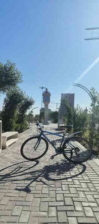 جاينت ألماني • فريم ألمنيوم • شيمانو 8x3