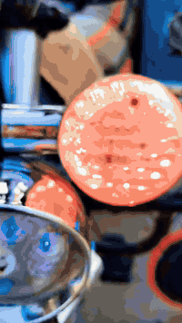 ستوته لبيع موديل 23 هاذ رقم صاحبه 07757209029