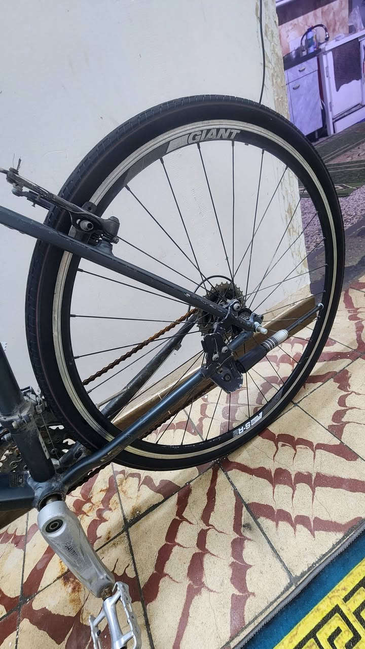 جاينت هجين
١٥٠ الف 
بغداد مدينه الصدر 
***********
