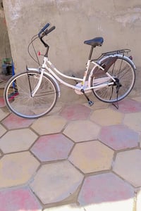 بيسكل • حجم ٢٦