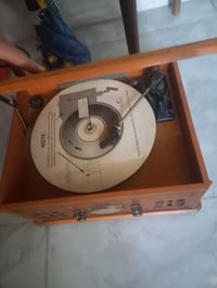 شغال • فول • نظيفة