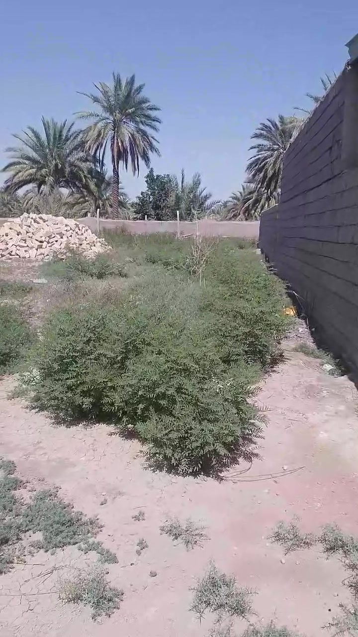 القطعه للبيع العنوان المسيب طريق ابو الجاسم حي الحسين مساحة القطعه 200متر سند 25 زراعي للاستفسار الاتصال على الرقم ***********
