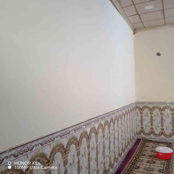 السلام عليكم  بيت زراعي نص دونم مسيج كله بيه بير رتوازي وماي اروه بل باب مساحت البنيان البيت اربع ميه  ويتكون من بستان نخل وسدر البيت ثلاث قرف هول وصاله ومطبخ ودوانيه مكان البيت في البصره خور الزبير  شارع العلويه بيت زراعي السعر 100 رقم الهاتف ***********
