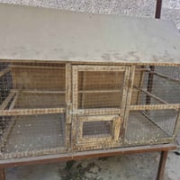 حلة بكرلي • ديكور