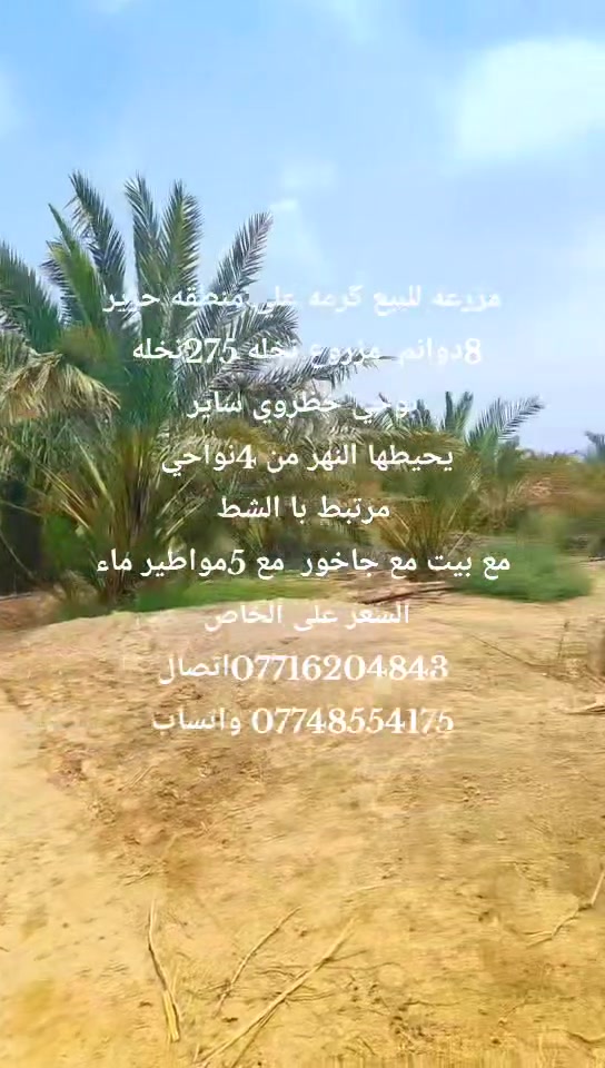 مزرعه مع بيت وجاخور للحلال مع 5مواطير ماء للبيع گرمه علي منطقه حرير
8دوانم  مزروعه 275نخله
125برحي
الباقي ساير وخظراوي
ارض كلش حلوه 
السعر 300 مليون قفل
للاستفسار او الاتصال واتساب 
***********اتصال
***********واتساب
