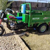 ستوته • موديل 21 • أوراق اصولي