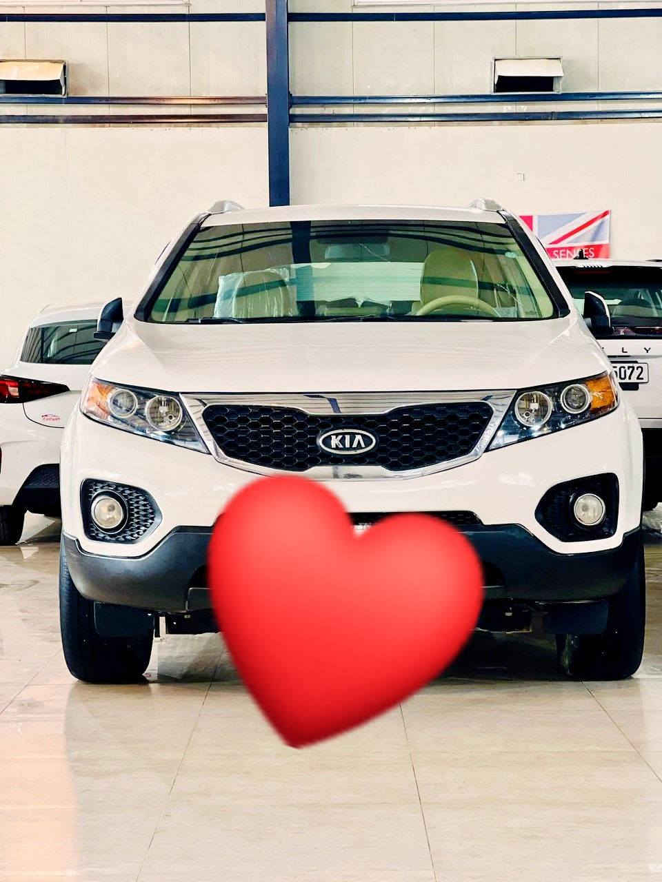 سلام عليكم ورحمه وبركاته اخواني البيع  سورنتو الموديل 2010 السياره نضيف جدا مابيه صبغ سبع مقاد اكسشان تدفه وتبريد دبل بنرومه السياره آكلين ملدعامي الدعامي السياره سنويه جديده المحرك دوش 4اسندر  الرقم صلاح الدين  العنوان سامراء بقي التفاصيل خاصه والسعر 155وبيه مجال


**إذا كنت صاحب هذا الإعلان وتريد حذفه لأي سبب، رجاءا أرسل رسالة إلى الدعم الفني**